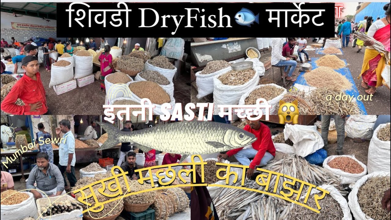 शिवडी DryFish मार्केट Mumbai Sewri Dry Fish Market Wholesale Dry