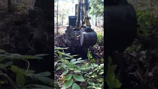 Cat 304 excavator pulling a stump!