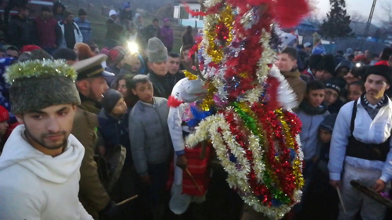 Cerbul din satul Crucea 2017-2018