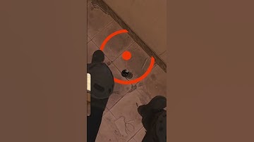 Learn This NiKo Mirage Window Trick for CS2!