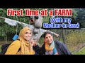 FIRST TIME AT A FARM IN NETHERLANDS WITH MY MOTHER IN LAW | Cheese Factory Tour |  Eindhoven Center