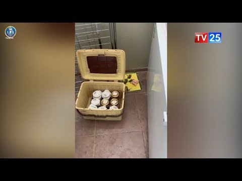 ფალსიფიკაციის სამი ფაქტი გამოავლინეს