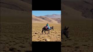 Maroc. Sur La Piste R704 Entre Agoudal Et Msemrir 1Er Septembre 2021