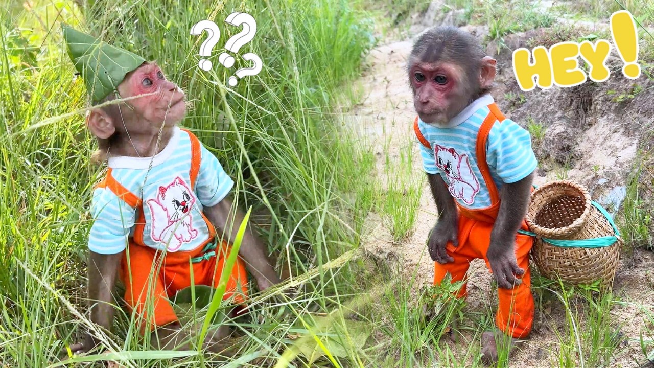 Happy Harvest! SU Great Outdoor Day & Heartwarming Present for Mom!