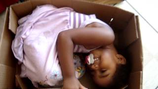MOV08202