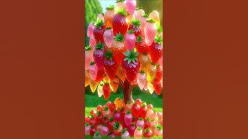 easy and fast techniques for planting and propagating strawberry trees #garden #plants