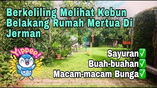 GREBEK KEBUN MERTUA DI JERMAN I ADA TANAMAN APA AJA?