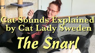 Cat Sounds Explained: The Snarl