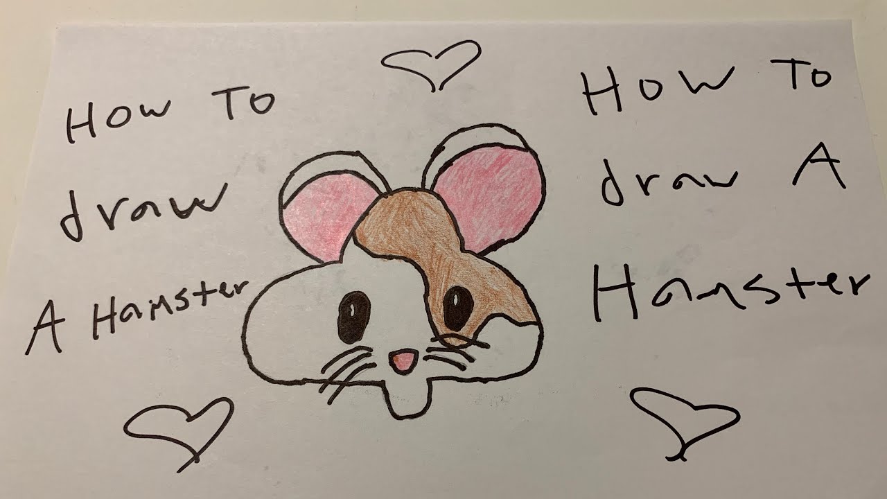 How to draw a cute hamster - YouTube