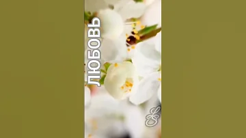Весна ЛЮБОВЬ 