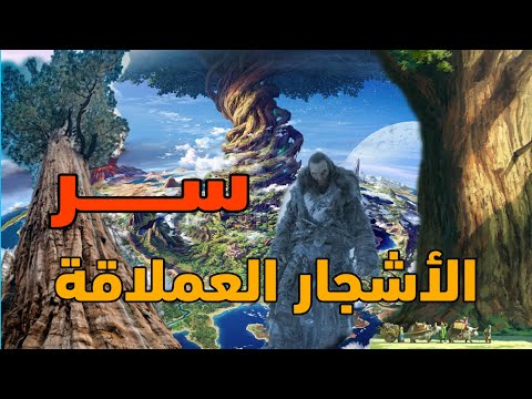 سر الأشجار العملاقة الغامضة التي كانت على أرضنا العظيمة تصل حتى السماء بطول 60 كلم بالدليل