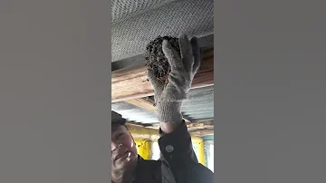 Находка. Ласточки гнездо.