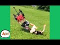 Why Did He Think This Would End Well?! 🤣 | Funny Fails | AFV 2021