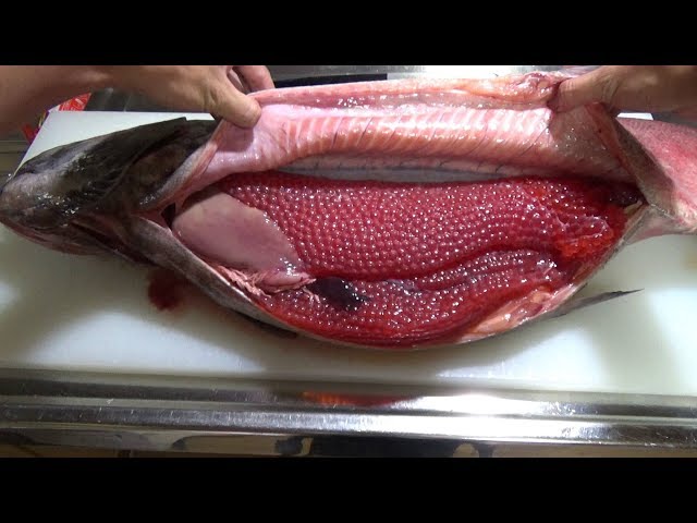 【衝撃映像】キングサーモンのお腹の中身がイクラまみれだった   King salmon