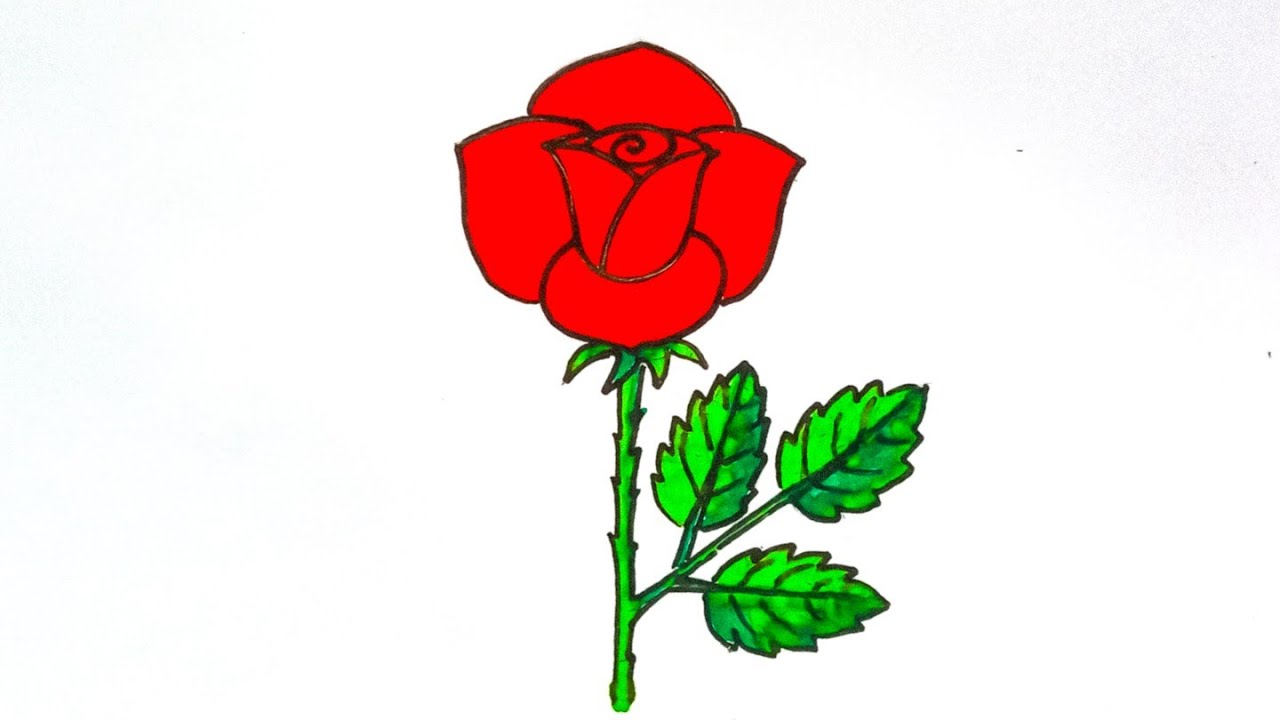Very Easy Rose Flower Drawing Step By Step.