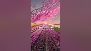#مراحل خلق الإنسان في #القرآن_الكريم #سورة المؤمنون