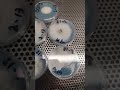 Beautiful mycelium #mycology #mushroomcultivation #agar #agarplates
