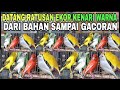 Gila datang ratusan kenari warna dari bahan sampai gacoran di pasar burung pramuka hari ini