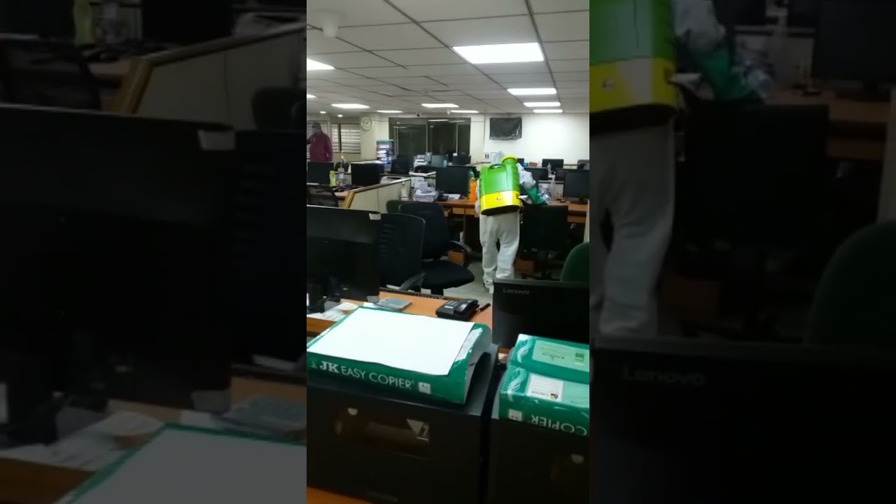 Pest Control in office 