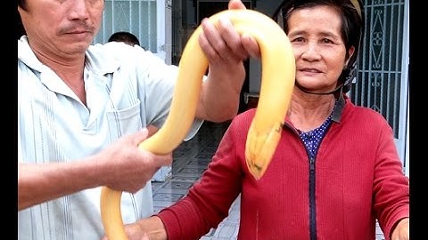 Lươn vàng nặng gần 1kg,Thương lái định giá con lươn 50 triệu[Tin Giải Trí]