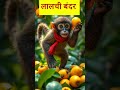 🐒 कौन लाभवान ? बंदर यह किसान ?! 🥭 | Buddhist Jataka Tale #Shorts