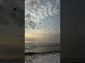 Good morning 🌄 ⛵ #love #youtube #india #youtubeshorts #sea #foryou