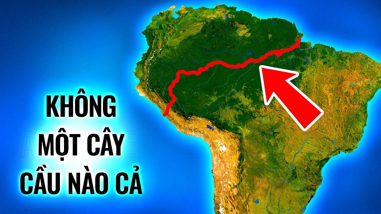 Vì sao không có cầu bắc qua sông Amazon?