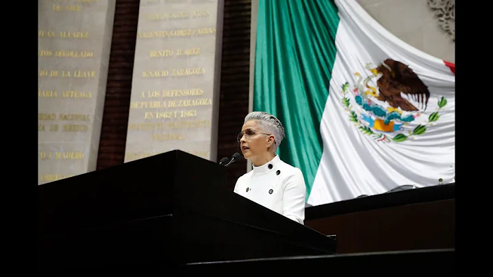 Dip. Janine Patricia Quijano Tapia (PVEM) / Presen...