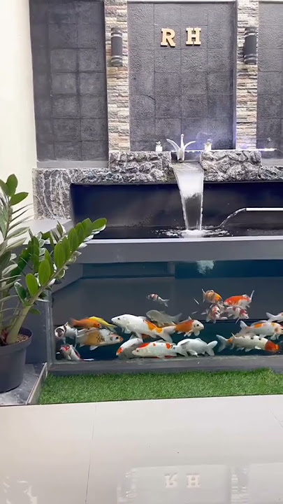 ide #homedecor  kolam ikan dirumah.