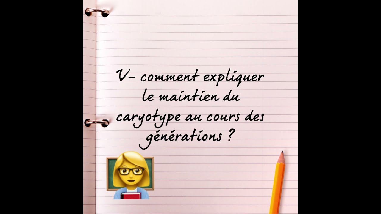 V- comment expliquer le maintien du caryotype d’un individu au cours des générations ?