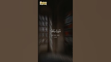 هيهات هيهات لما توعدون #سورة_المؤمنون #ياسر_الدوسري #trend #اكسبلور #trending #explore #قرآن #لايك