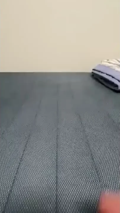 フィッシャーズ 犬