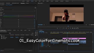 01_EasyColorForCinematicLook_Premiere Pro Tutorial