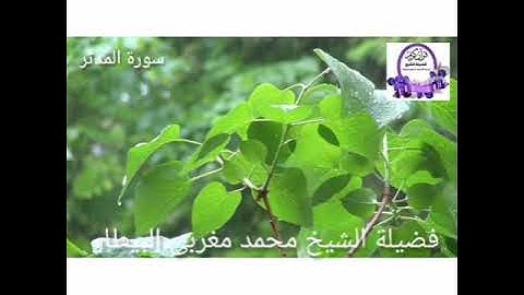 سورة المدثر - الشيخ محمد البيطار