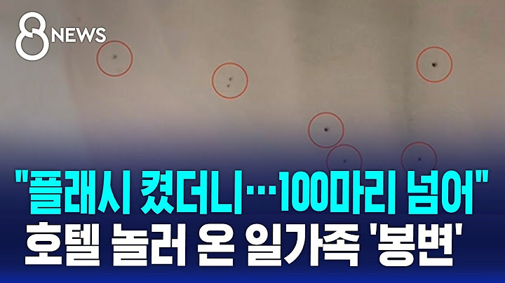 "플래시 켰더니…100마리 넘어" 호텔 놀러온 일가족 '봉변' / SBS 8뉴스