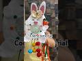 Coelho sensorial🐇🥕 #brinquedos #pedagogia #pascoa