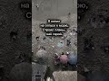 Когда все планы на отпуск могут поменяется. С юмором #shorts