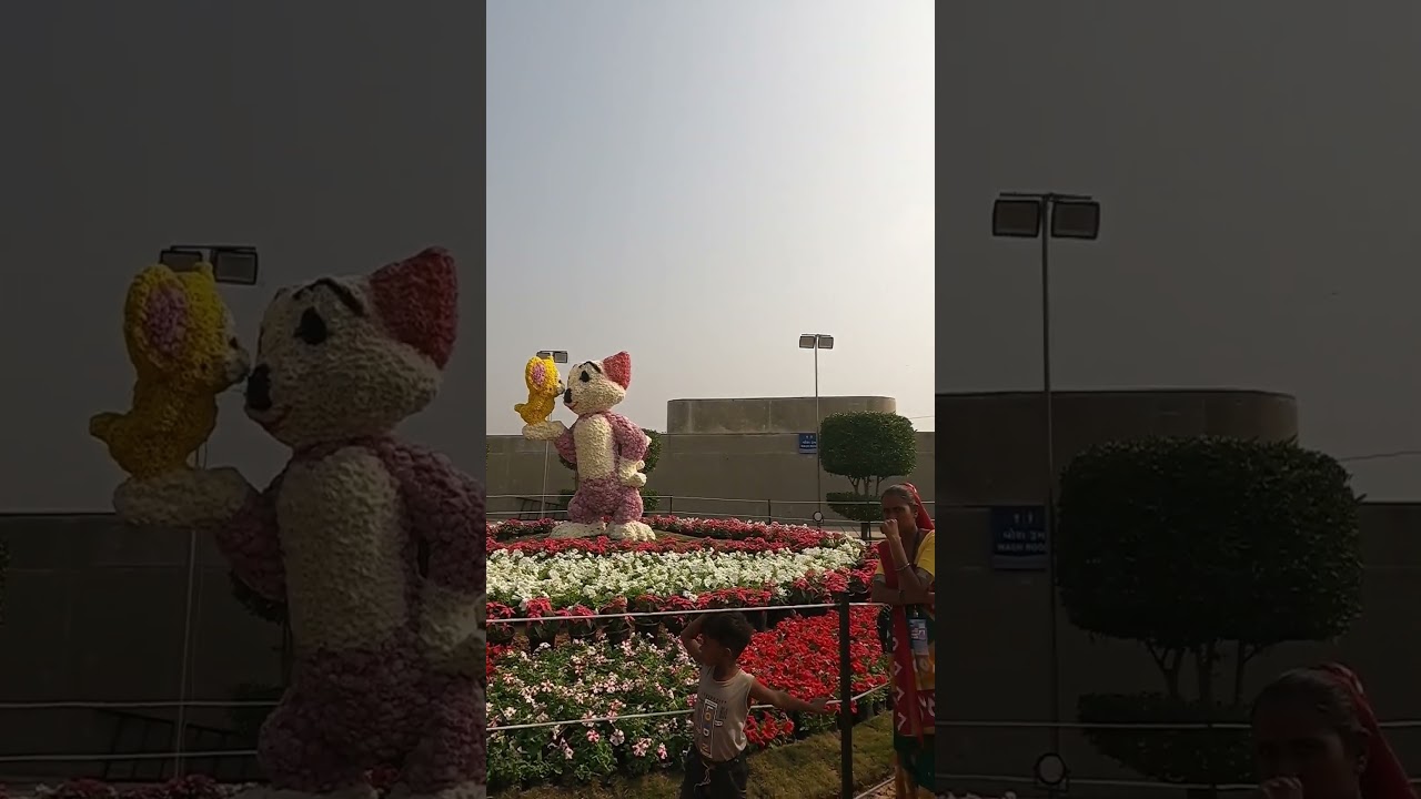 Flower show ahmedabad 2024