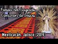 Fiesta del Sagrado Corazón de Jesús 2019 - Padre Arturo Cornejo