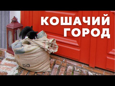 Зеленоградск - город Кошек| Курортный город России| Что посмотреть в Калининградской области