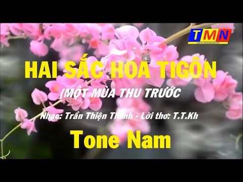 [KARAOKE] Hai sắc hoa Tigon - Tone Nam (D) - Cover by TMN