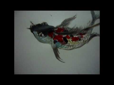 Tutorial Menggambar Ikan Koi | full download belajar mudah menggambar ikan koi Tutorial Menggambar Ikan Koi | full download belajar mudah menggambar ikan koi