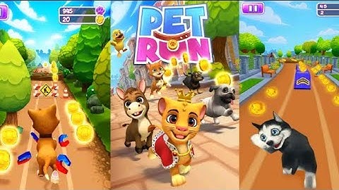 Pet Run- puppy dog video game.