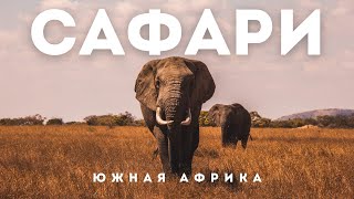 Африка | Cафари в ЮАР и что нужно знать о нем