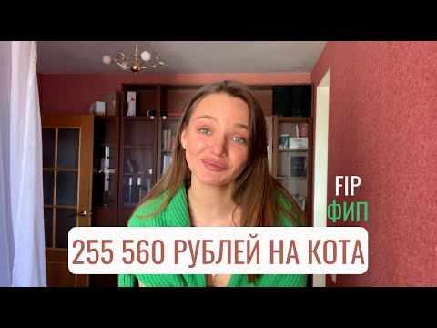 Как мы Вылечили Инфекционный Перитонит. FIP и 300к на кота.