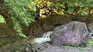 IMG 7809 HEVC
