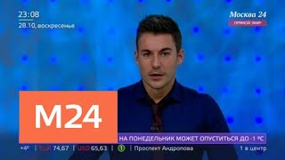 Двое мужчин спасли упавшую в Фонтанку собаку по имени Булочка - Москва 24 Двое мужчин спасли упавшую в Фонтанку собаку по имени Булочка - Москва 24
