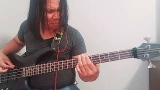 Video thumbnail of "I Don't Want To Talk About It - Rod Stewart (Bass Cover)"