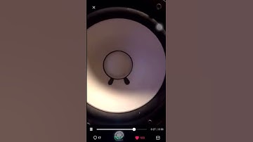 Sahbabii snippet (Barnacles?)