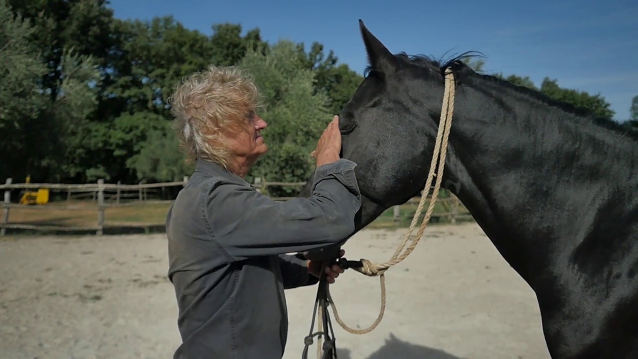 La Cerreta Terme di Sassetta - Video Presentazione